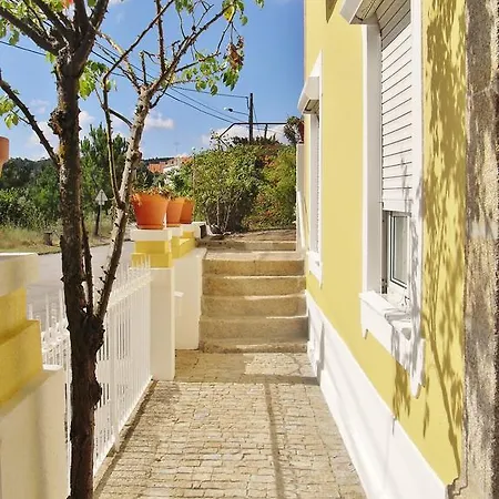 Quinta Do Arvoredo Mangualde