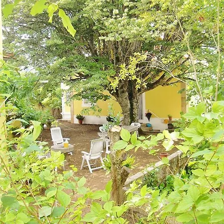 Quinta Do Arvoredo Σπίτι διακοπών