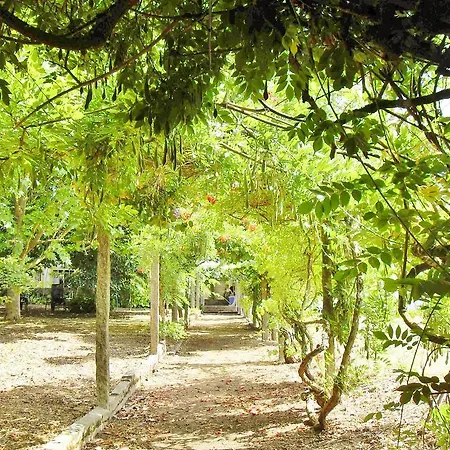 Quinta Do Arvoredo *